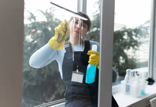 Nettoyage de vitres intérieures et extérieures à Montet-et-Bouxal